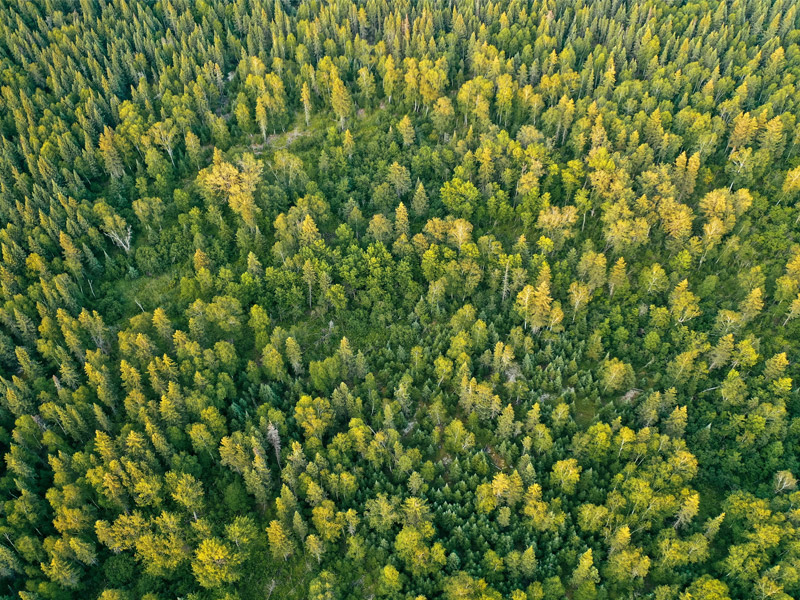Towards Net Zero