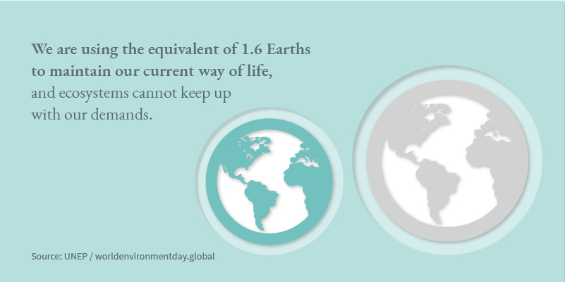 World Environment Day 2022