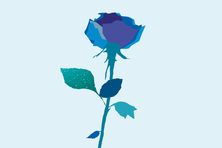 La rosa immagine simbolo della Milanesiana