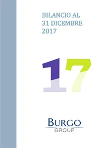 The Group's 2017 Financial Statements