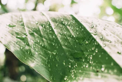 Circularity, Waste and Water Recycling