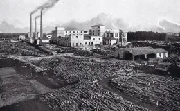 Corsico, lo stabilimento e il deposito legnami (1925)