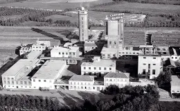 Stabilimento di Mantova (1955)