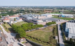Treviso Plant
